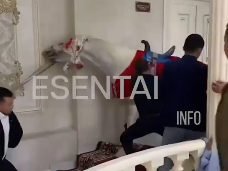Сүндет тойда жылқыға қатыгездік көрсеткен ер адам жауапқа тартылды