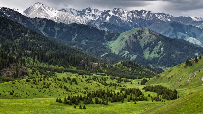 Сағынтаев Көк-Жайлауды қайтаруды сұрады 