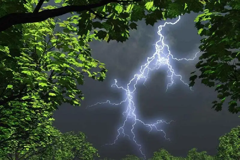 Шығыс Қазақстан тұрғындары абай болсын!