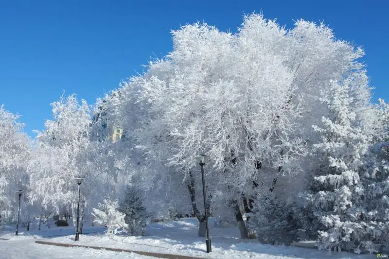 1 желтоқсанға арналған ауа райы болжамы