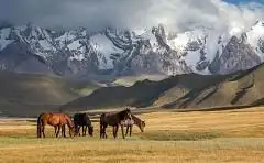 Туристік инвестжобаларды жүзеге асыруда салық жеңілдіктері болады