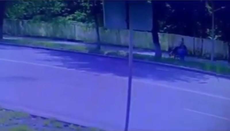 Жол жиегінде бүлдіршінді қағып кеткен самокатшыны іздестіріп жатыр