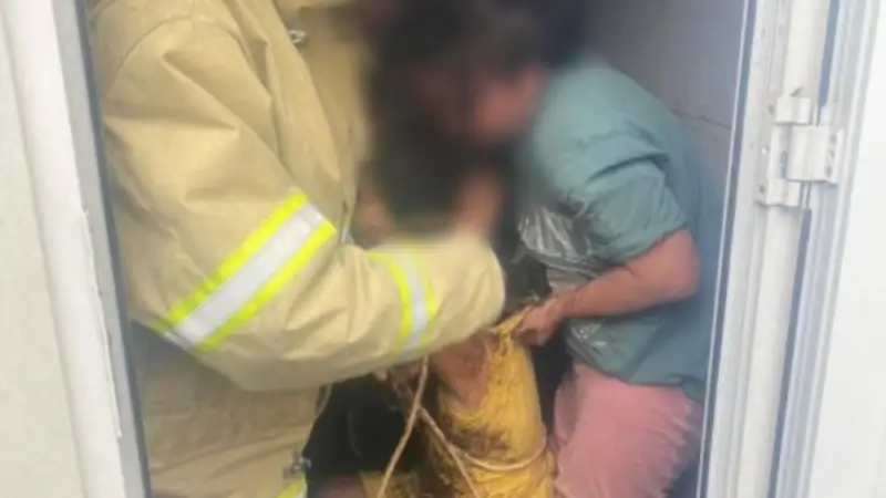 Кең ашық қынаптардың жақыннан түсірілген суреттері