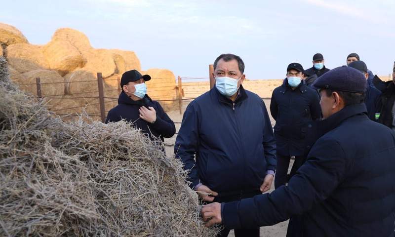 Нұрлан Ноғаев облыс тұрғындарын мал шаруашылығымен тиімді айналысуға шақырды