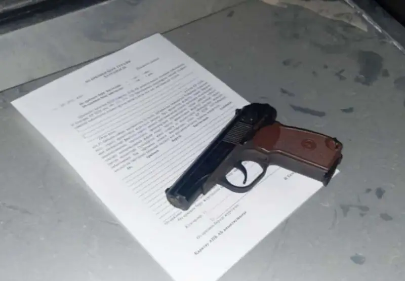 Шымкенттік тұрғын көлігінде қару сақтаған  