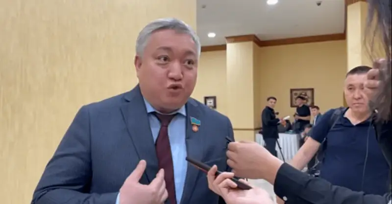 Мәжіліс депутаты тіркелген кандидаттарға күмән келтірді
