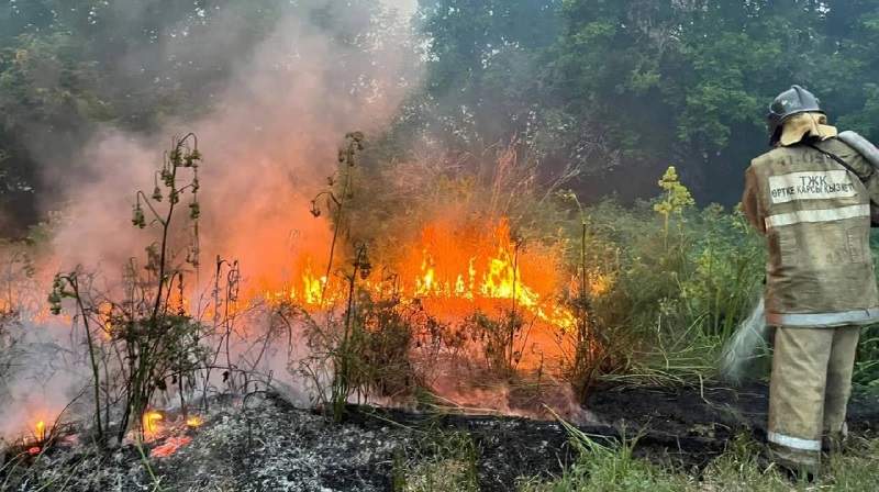 Абай облысындағы өрттен қаза тапқандардың тізімі жарияланды