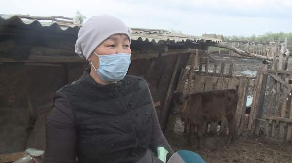 Ақтөбе облысында мал ауруы өршіп тұр