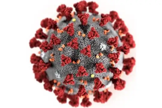 Коронавирустан айыққандардың саны 91 мыңнан асты