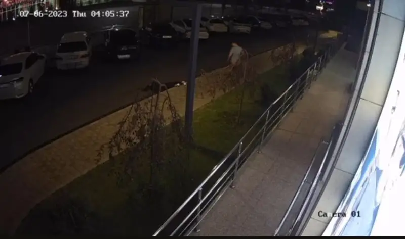 Дәулет Тұрлыхановтың тағы бір ұлына бойжеткенді соққыға жықты деген айып тағылды 