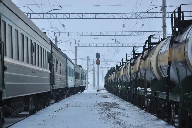 Шуда екі қытайлық азамат тексерілді