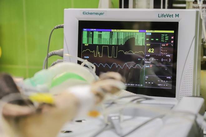 Футбол ойыны кезінде есінен танып қалған ойыншы көз жұмды