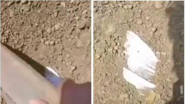 Қостанайда итті тірідей жерге көмген