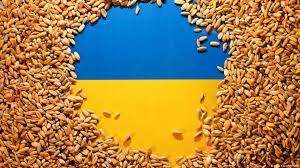 ЕО Украина астығын импорттайды 