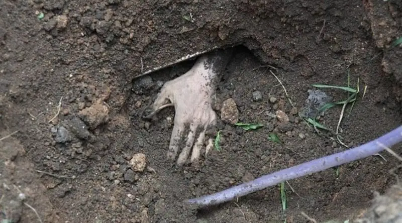 Бұрынғы мектептің ауласынан 215 баланың мәйіті табылды