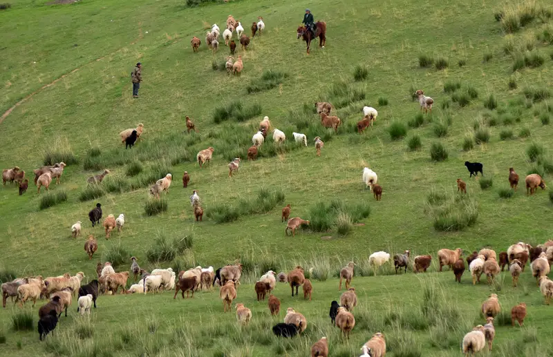 Фермерлер министрлікті қолдады