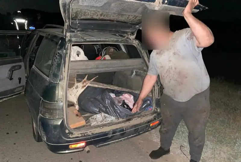 Павлодар облысында заңсыз бұлан аулау фактісі анықталды