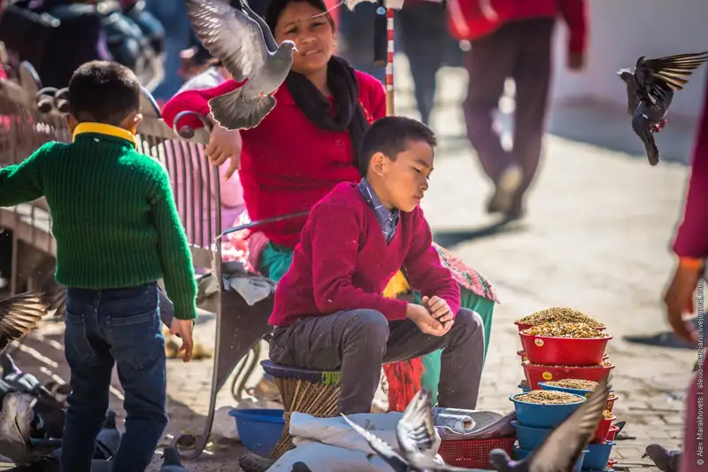 Филиппинде жер сілкінді  