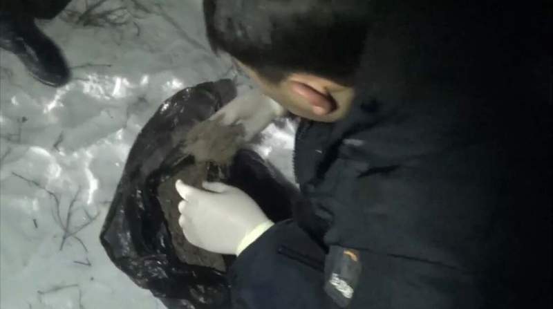 Алматы облысының үш тұрғыны есірткі жинау кезінде ұсталды  