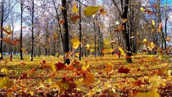 Елордада ауа райының бұзылуына байланысты ескерту жарияланды