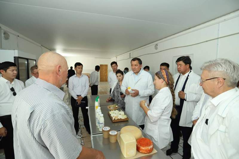 Маңғыстаулық кәсіпкерлер тұңғыш рет халықаралық ірімшік байқауында  Қазақстанның намысын қорғайды