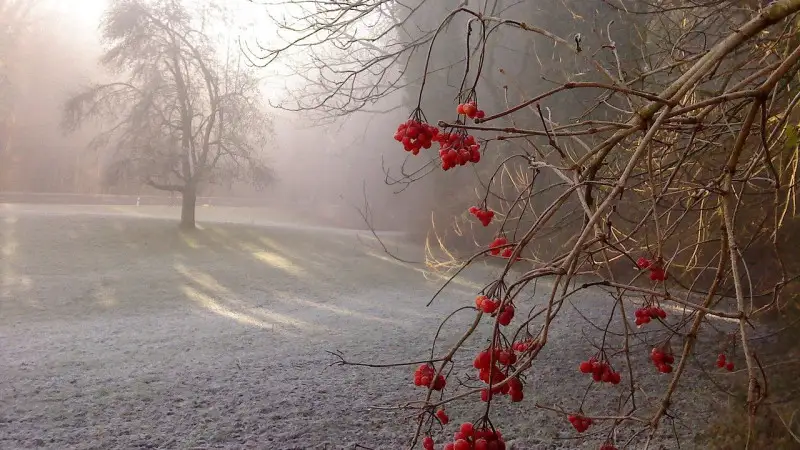 Осы айда ауа райы қандай болады?
