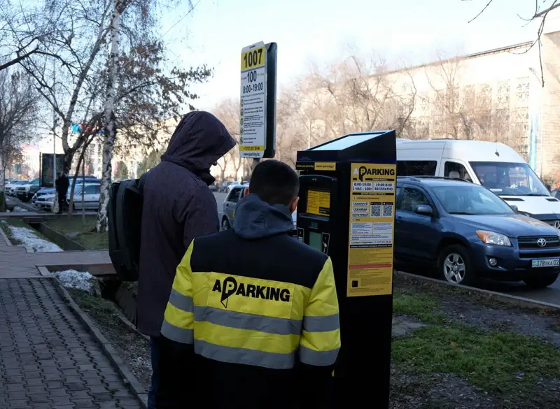 Ақылы тұрақтың әуресі