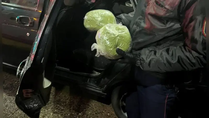 Арнайы операция барысында ақмолалық тұрғыннан аса ірі көлемде гашиш табылды 