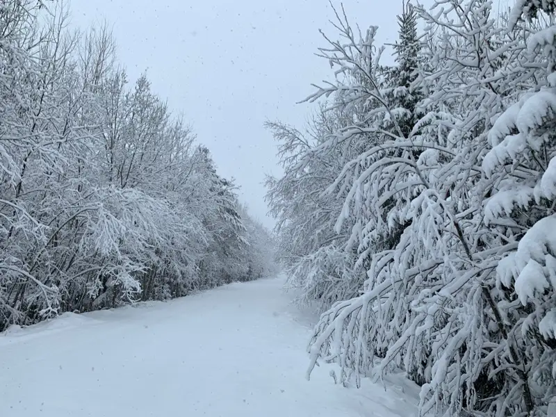 Алматы облысында қар жауды  