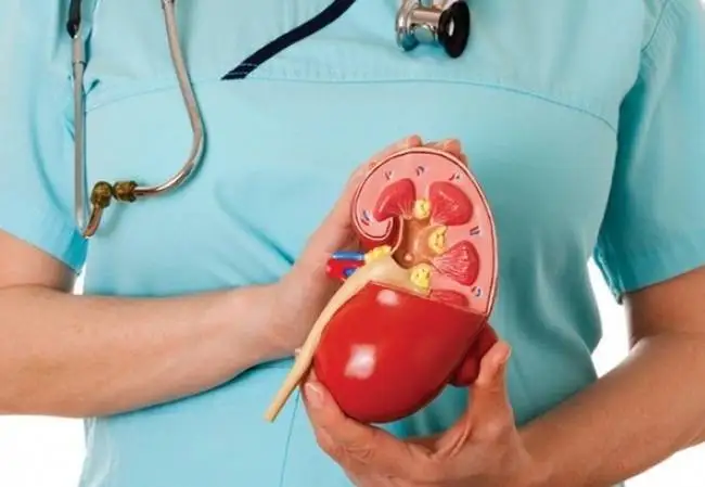 Донор болуға келісесіз бе?