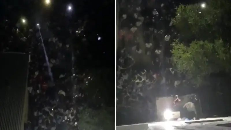 Сәтбаевта 5 жасар қызды зорлады деген күдікті өзіне қол салды