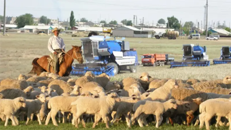 Дала мен қала. Ауыл тұрғындарының табысы НЕГЕ төмен?