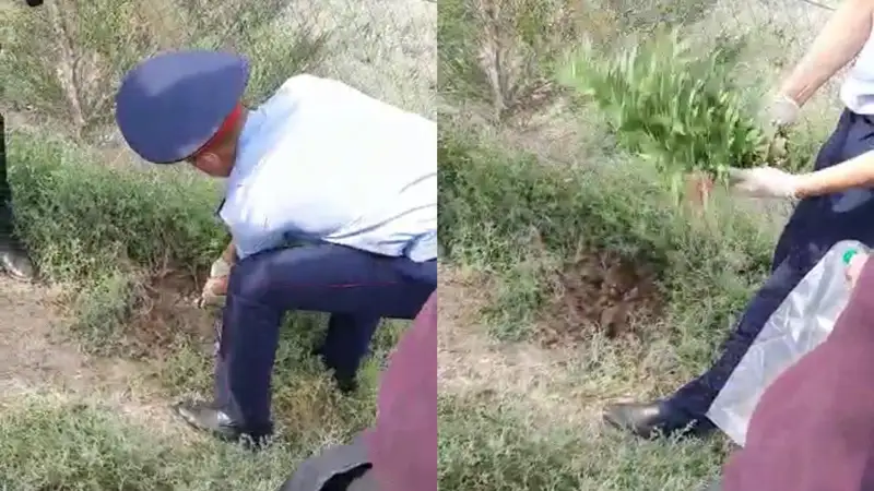 Есірткі сатқан және сақтаған Қызылорда облысының тұрғыны ұсталды  