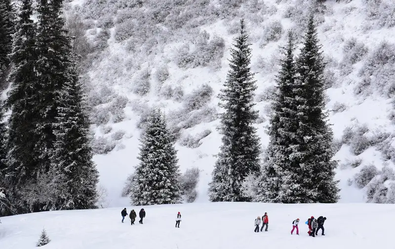 Қазақстанның оңтүстігіне аяз келе жатыр