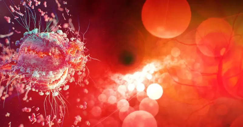 COVID-19 кесірінен 178 адам көз жұмды