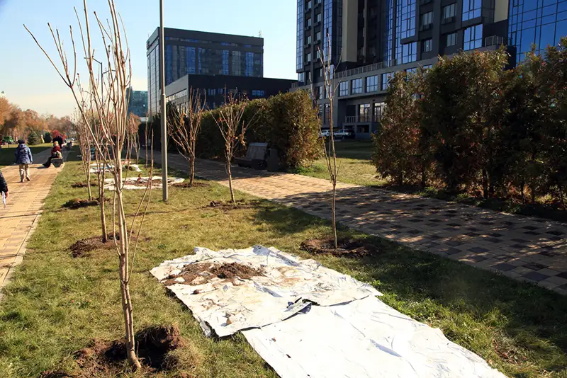 Алматыда журналистер аллеясы ашылды