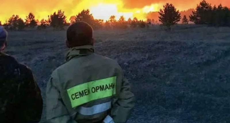 «Семей орманы» қызметкерлерінің жалақысы көтеріледі