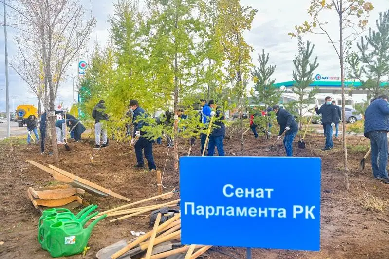 Сенаторлар сенбілікке қатысты