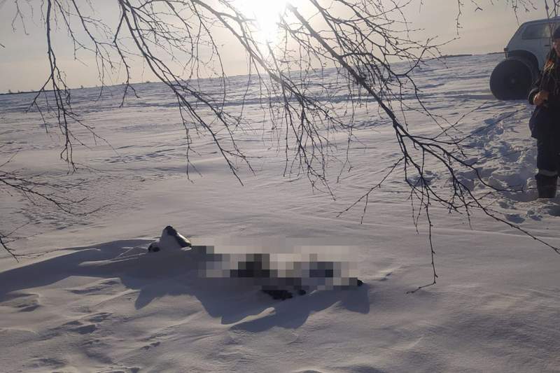 СҚО-да жоғалған балықшының денесі табылды