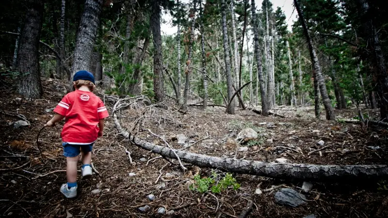 Алматы облысында үш күн бұрын  жоғалған оқушы  табылды  