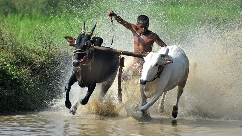 Әуесқой желаяқ әйгілі Болттың рекордын жаңартты