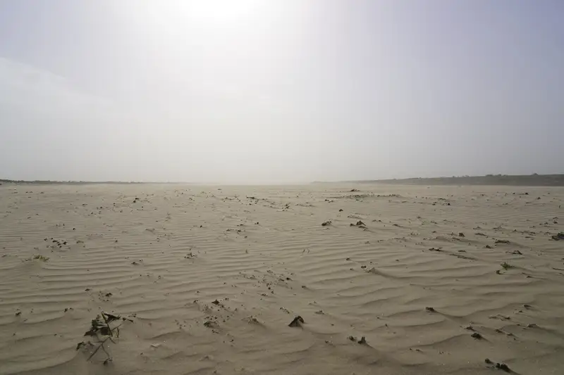 Қызылордада Үркер жерге түсті... Фоторепортаж