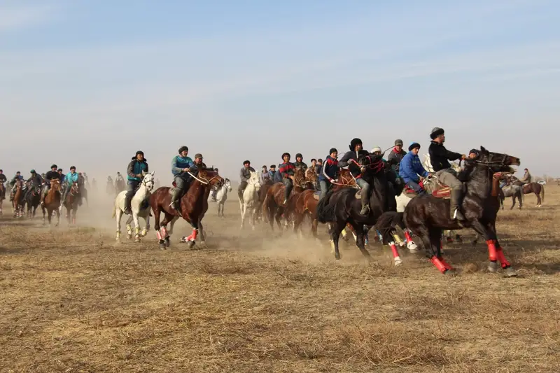 Рұқсатсыз «Көкпар» ойынын ұйымдастырғандар жауапқа тартылды