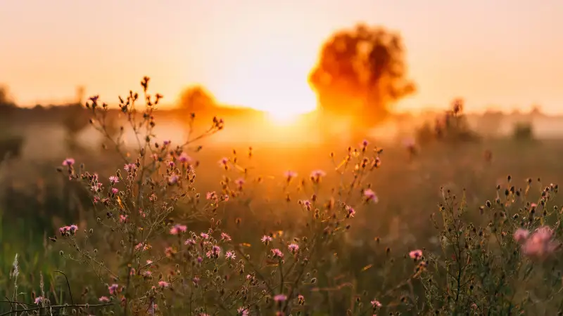  44 градус дейін ыстық болады