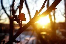 Күннің көзі күрт жылынады