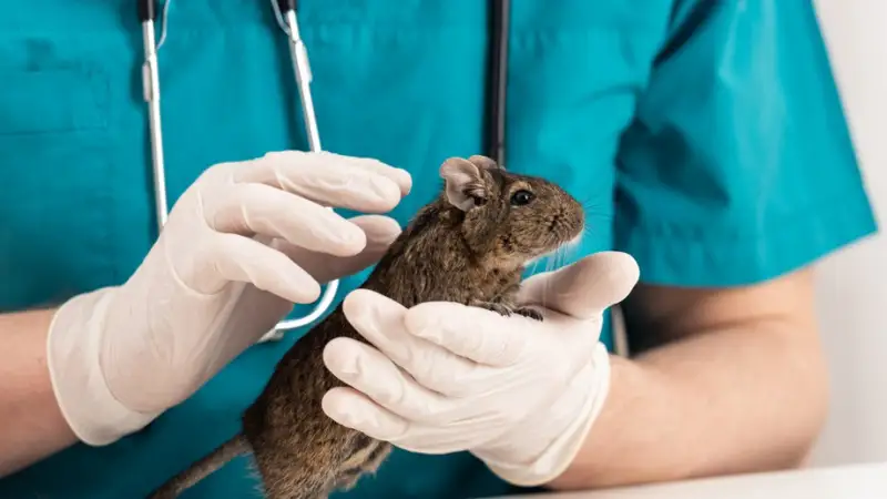 Ресейде коронавирусқа қарсы 6 түрлі вакцина жасалды