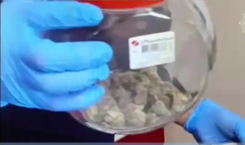 Алматыда ірі көлемде есірткі заттарының контрабандасы әшкереленді
