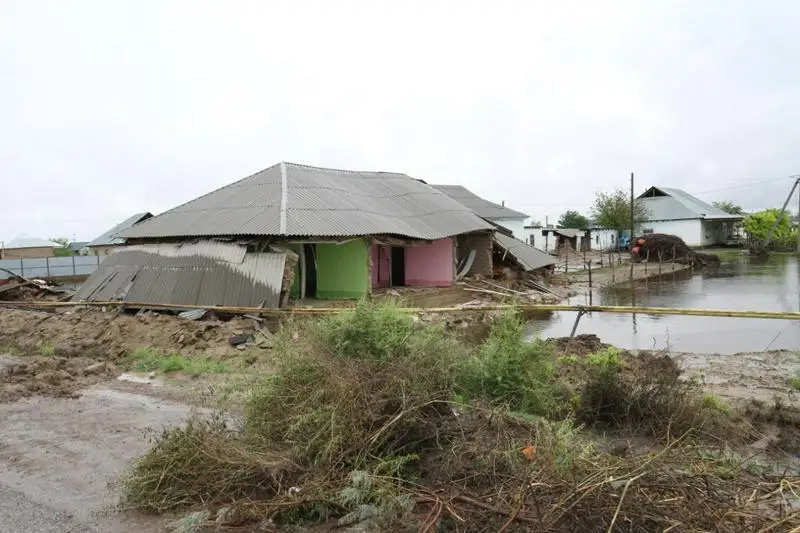 Мақтааралда су басқан ауылдардан мыңға жуық мал өлексесі шығарылды