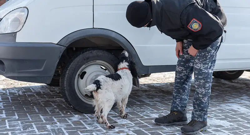 «Жыл басынан бері тоннадан астам есірткі тәркіленді»