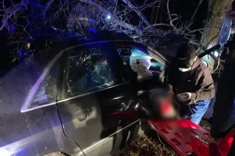 Жетісу облысында жолға шауып шыққан жылқының кесірінен адам мерт болды